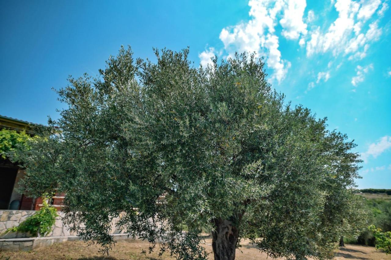 Villa Aiolos Alexandroupoli Eksteriør billede